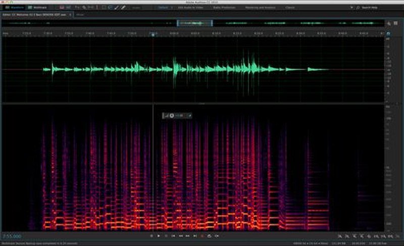 Audio waveform in sound editing software for voice production